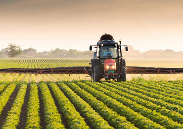 04 AGRICULTURA HOME